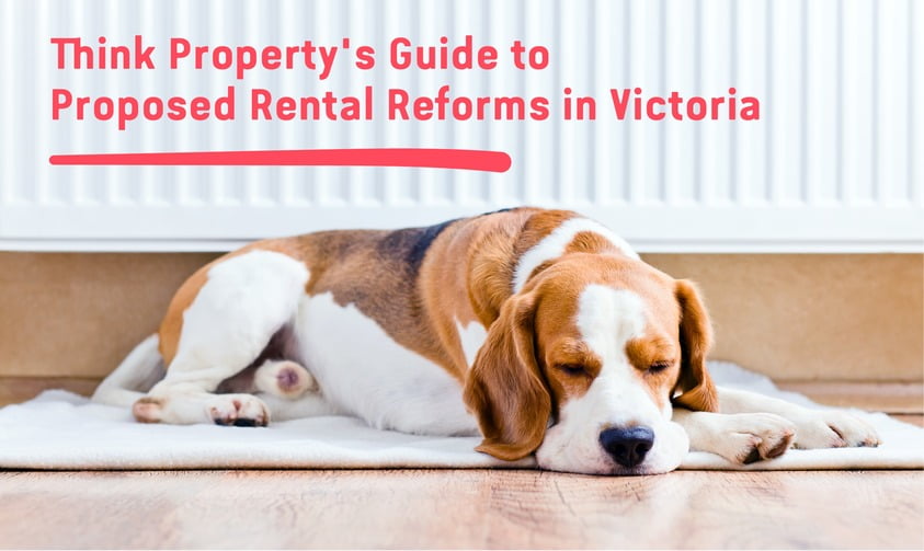 Think Property’s Guide to the Proposed ‘Rent Fair Victoria’ Reforms