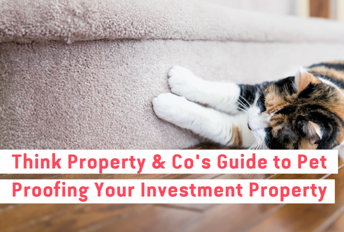 Think Property & Co’s Guide to Pet Proofing Your Investment Property