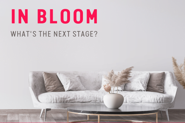 In Bloom: What’s The Next Stage for Real Estate?