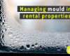 Managing Mould in Rental Properties