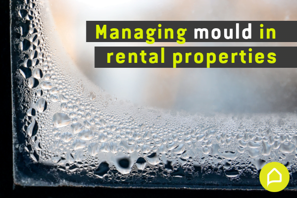 Managing Mould in Rental Properties